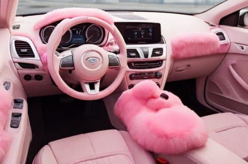 car accessories gifts
