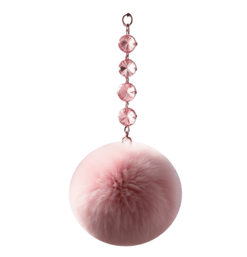 rearview mirror charm
